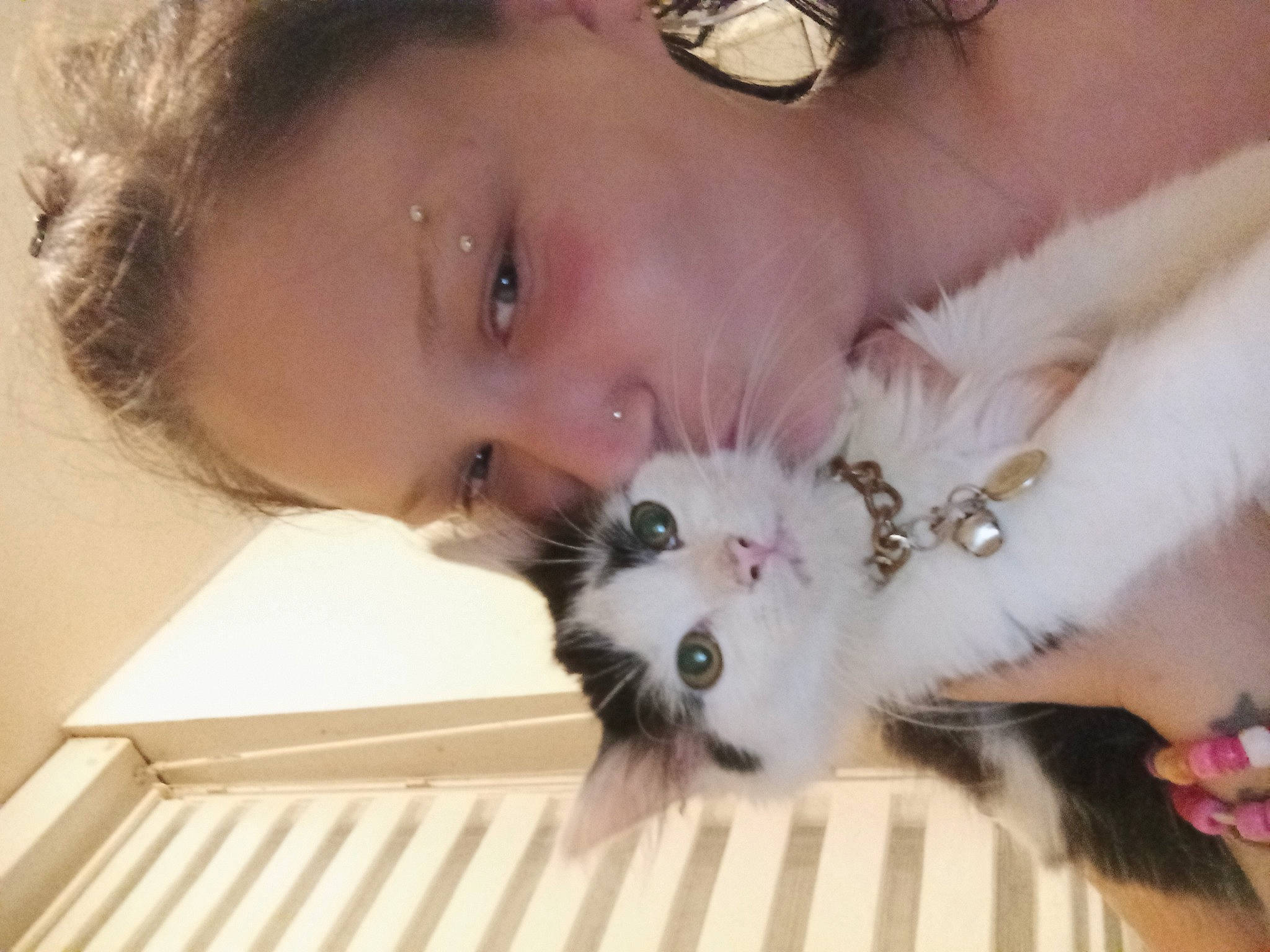 Leylo participe au concours pour gagner de l'argent avec cette photo : black_hair, carnivore, cat, companion_dog, dog_breed, ear, eyebrow, eyelash, fashion_accessory, felidae, fur, happy, jewellery, long_hair, nose, plant, skin, small_to_medium_sized_cats, sunglasses, whiskers