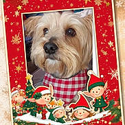 Iris participe au concours pour gagner de l'argent avec cette photo : celebration, christmas, cute, cute_pet, decorations, dog, elves, festive, frame, green, holiday, illustration, pet, portrait, red, red_bandana, seasonal, smiling, snowflakes, winter