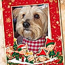 celebration, christmas, cute, cute_pet, decorations, dog, elves, festive, frame, green, holiday, illustration, pet, portrait, red, red_bandana, seasonal, smiling, snowflakes, winter