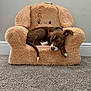 puppy, dog, sleeping, brown_dog, plush_chair, teddy_bear_chair, carpet, indoor, pet, cozy, resting, furniture, cute, small_dog, animal, relaxation, home, soft_texture, floor, wall