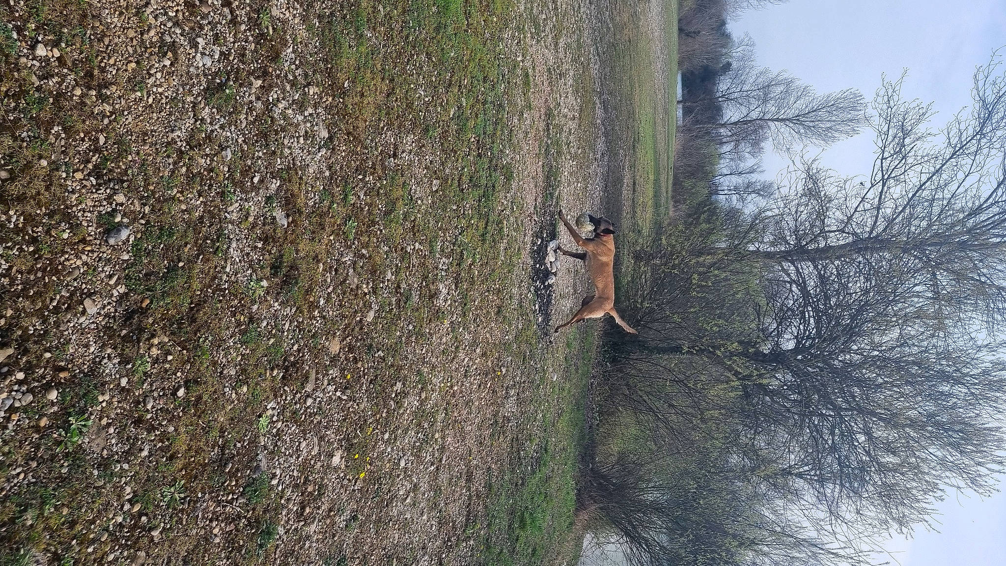 Salsa a rejoint le concours — aidez-le/la à gagner de superbes lots ! adventure, bedrock, forest, grass, grey, landscape, outcrop, plant, recreation, rock, rock_climbing_equipment, sky, soil, sport_climbing, tree, trunk, twig, watercourse, wood, woody_plant