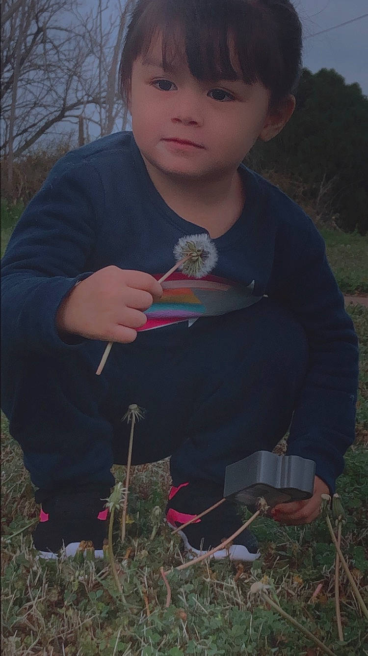 Rosaline is registered to the contest to win money with this photo: adaptation, child, grass, grass_family, leaf, person, plant, smile, toddler, tree