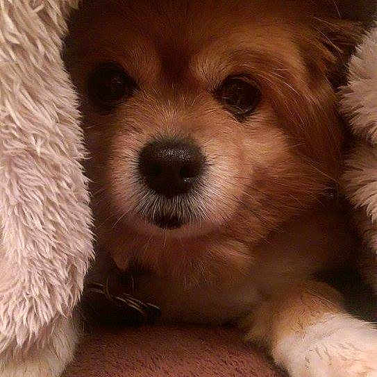 Lucy joined the competition — help win amazing prizes!