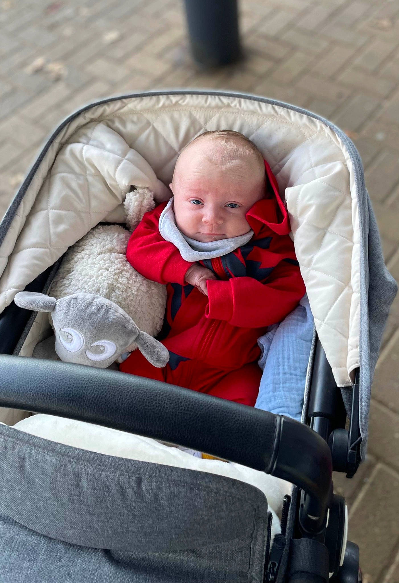 Jude joined the competition — help win amazing prizes! baby, baby_carriage, baby_products, baby_safety, baby_toddler_clothing, chair, comfort, eye, face, fun, grass, happy, head, lap, leisure, person, product, sitting, smile, toddler