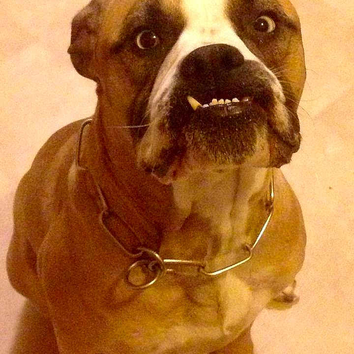Phoebe is registered to the contest to win money with this photo: