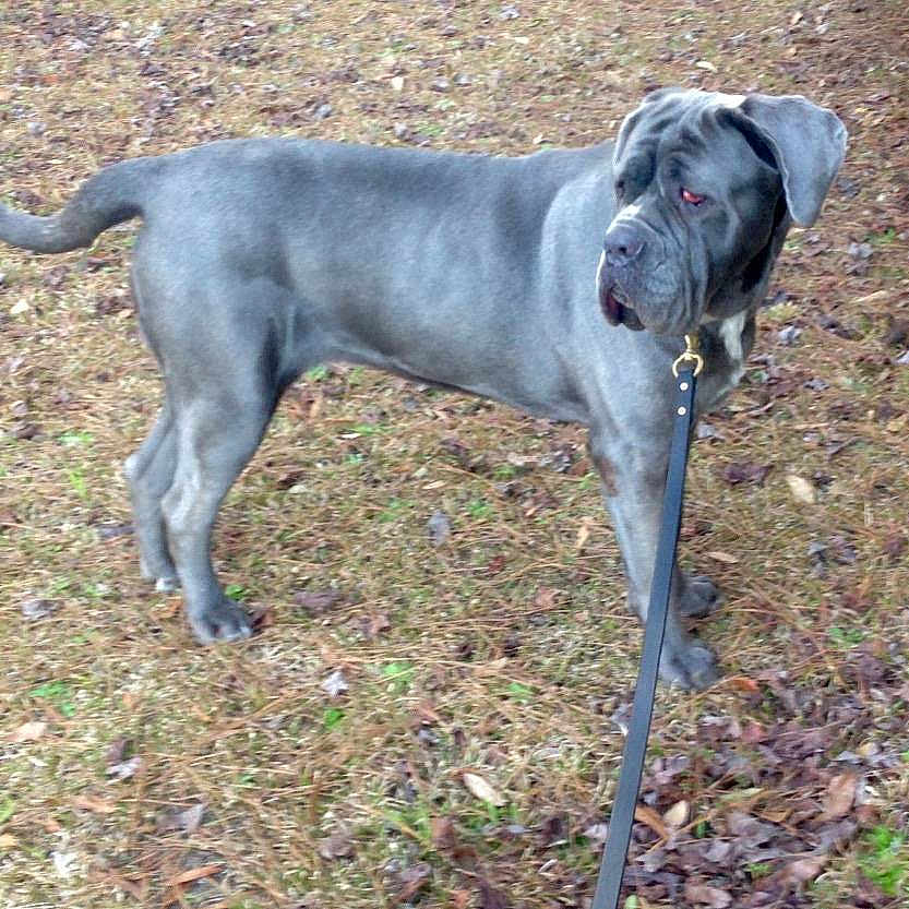 Nala