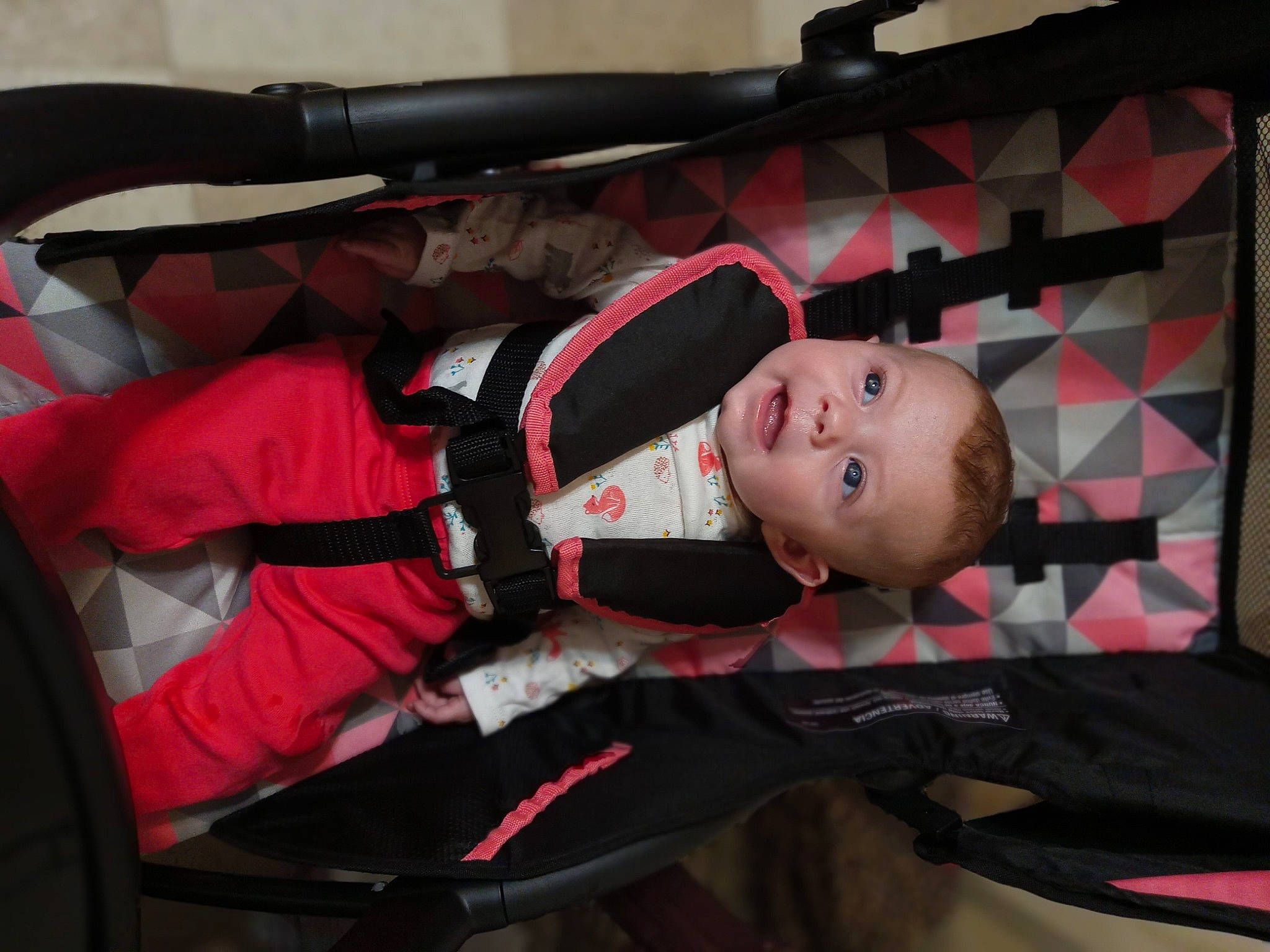 Alizabeth is registered to the contest to win money with this photo: auto_part, automotive_exterior, baby, baby_carriage, baby_products, carmine, child, comfort, costume, fun, person, personal_protective_equipment, toddler, tree, window