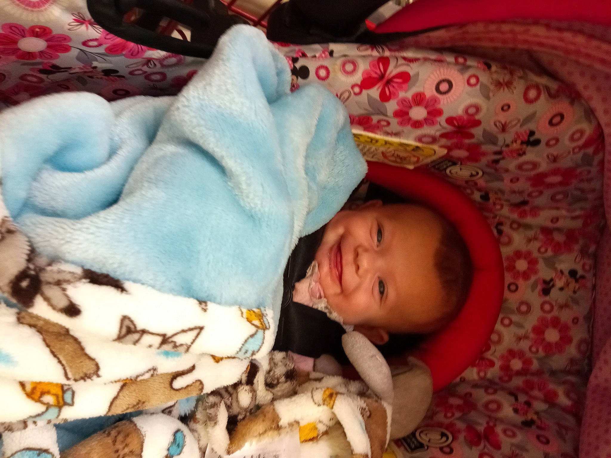 Alizabeth is registered to the contest to win money with this photo: baby, baby_products, baby_sleeping, baby_toddler_clothing, bed, bedding, bedtime, cheek, child, comfort, face, happy, joy, linens, mammal, nap, person, room, skin, toddler