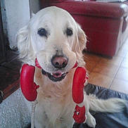 Eden participe au concours pour gagner de l'argent avec cette photo :