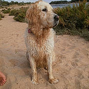 Eden participe au concours pour gagner de l'argent avec cette photo :