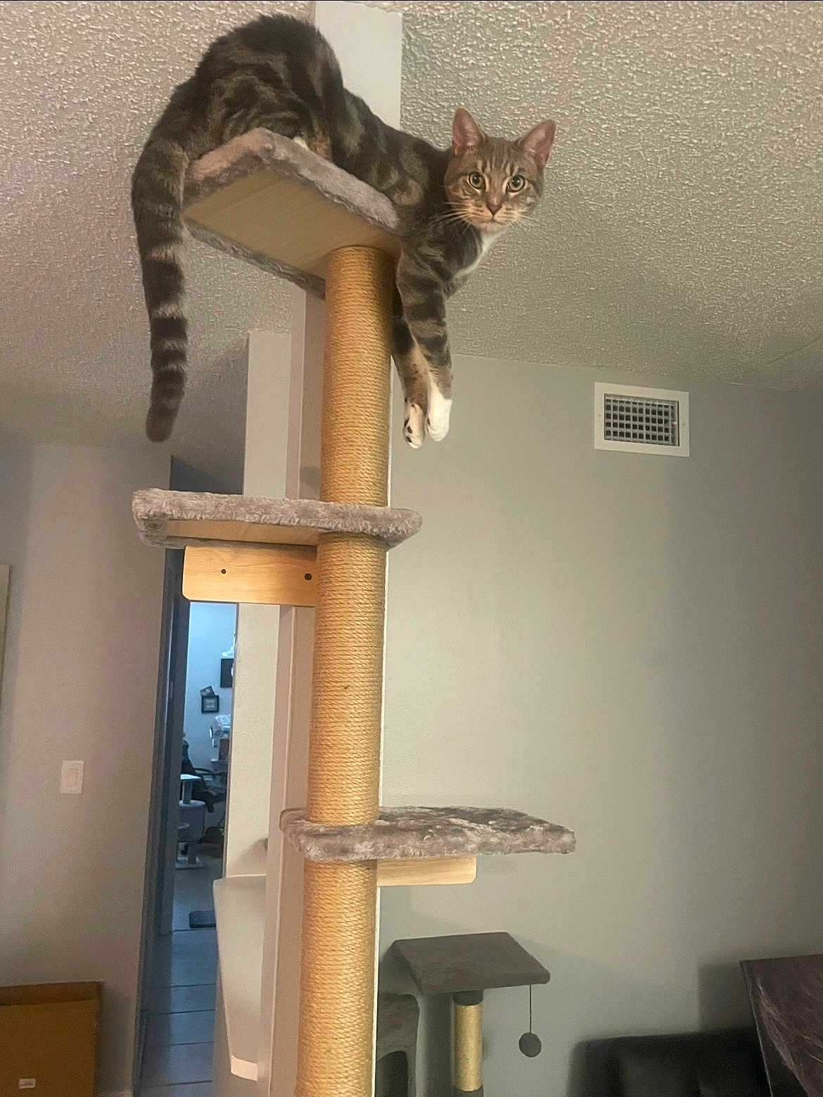 Lucy Bella