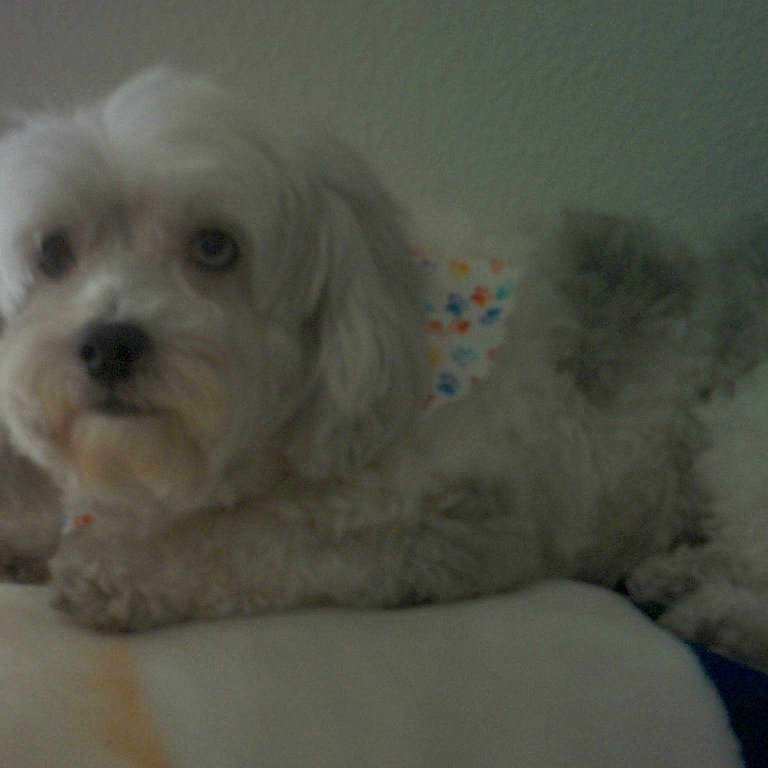 Cheri is registered to the contest to win money with this photo: