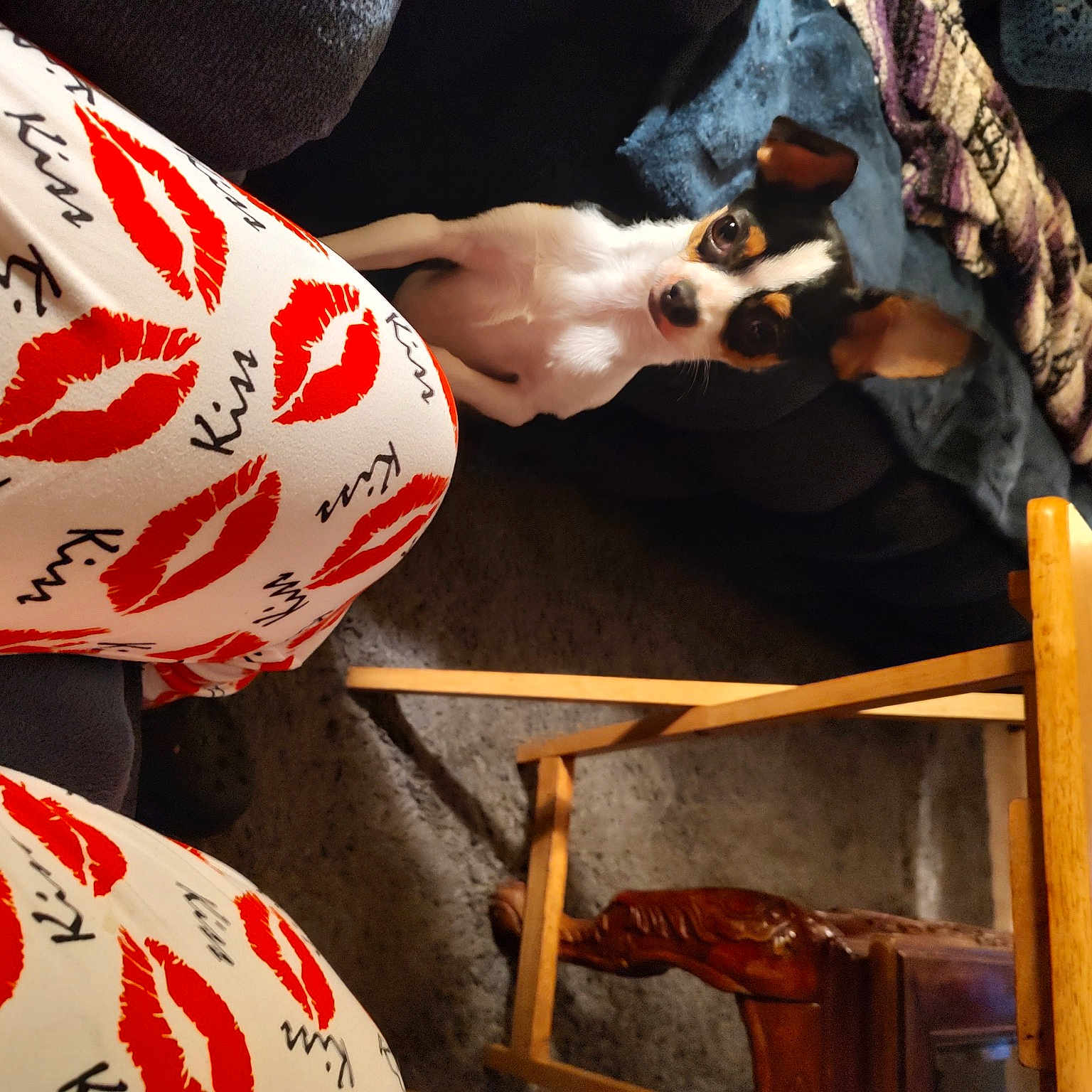 Buddy joined the competition — help win amazing prizes! carmine, dress, elbow, event, flesh, human_leg, linens, nail, pattern, room, sleeve, tradition, tree, visual_arts, waist, wood, wrist