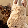 cat, tabby_cat, plush_toy, unicorn, stuffed_animal, fluffy, fur, whiskers, ears, eyes, indoor, portrait, close_up, cozy, warm_lighting, cute, animal, toy, home, sitting