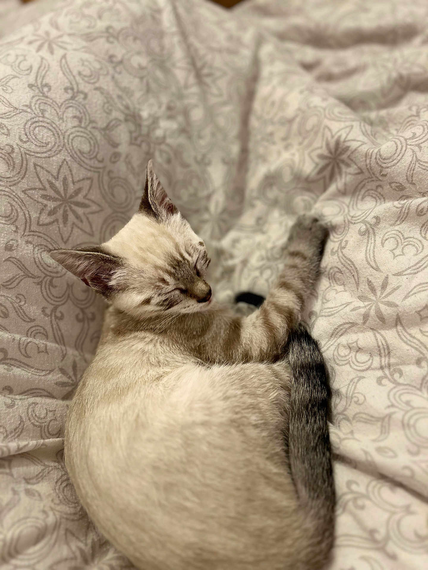Olaf