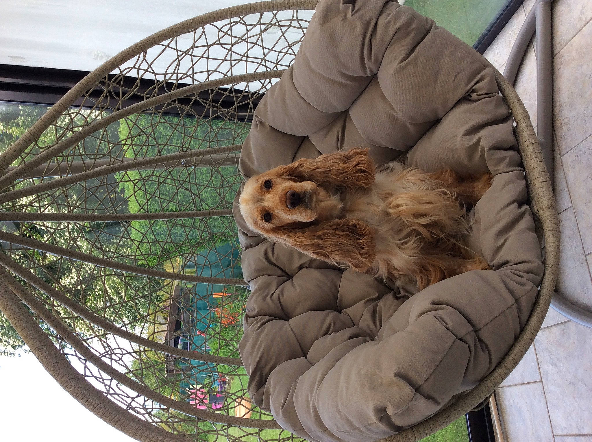 Olwen participe au concours pour gagner de l'argent avec cette photo : art, auto_part, automotive_tire, automotive_wheel_system, bicycle_tire, bird_of_prey, carnivore, circle, companion_dog, metal, owl, rim, sculpture, sky, spoke, terrestrial_animal, tire, vertebrate, wheel, wood