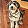 Kody