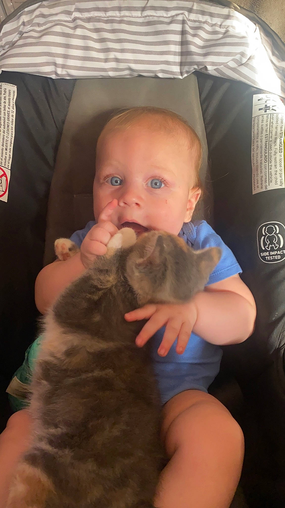 Ethan joined the competition — help win amazing prizes! abdomen, baby, baby_carriage, baby_products, baby_toddler_clothing, carnivore, child, comfort, companion_dog, finger, human_leg, infant_bed, lap, nail, person, sitting, skin, thigh, thumb, toddler