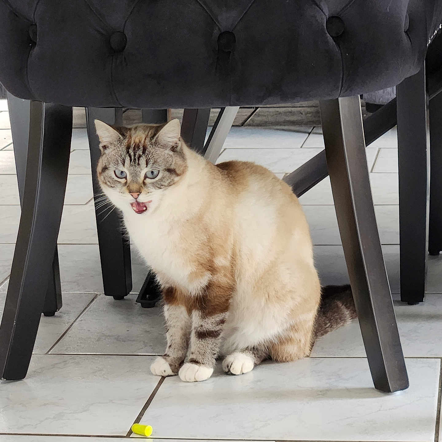 Praline