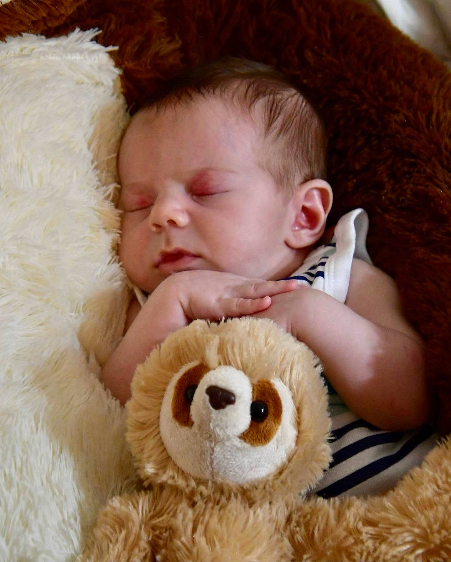 Briggs is registered to the contest to win money with this photo: baby, baby_sleeping, baby_toddler_clothing, beauty, cheek, child, comfort, ear, eye, fun, fur, happy, head, mammal, nose, person, skin, stuffed_toy, textile, toddler