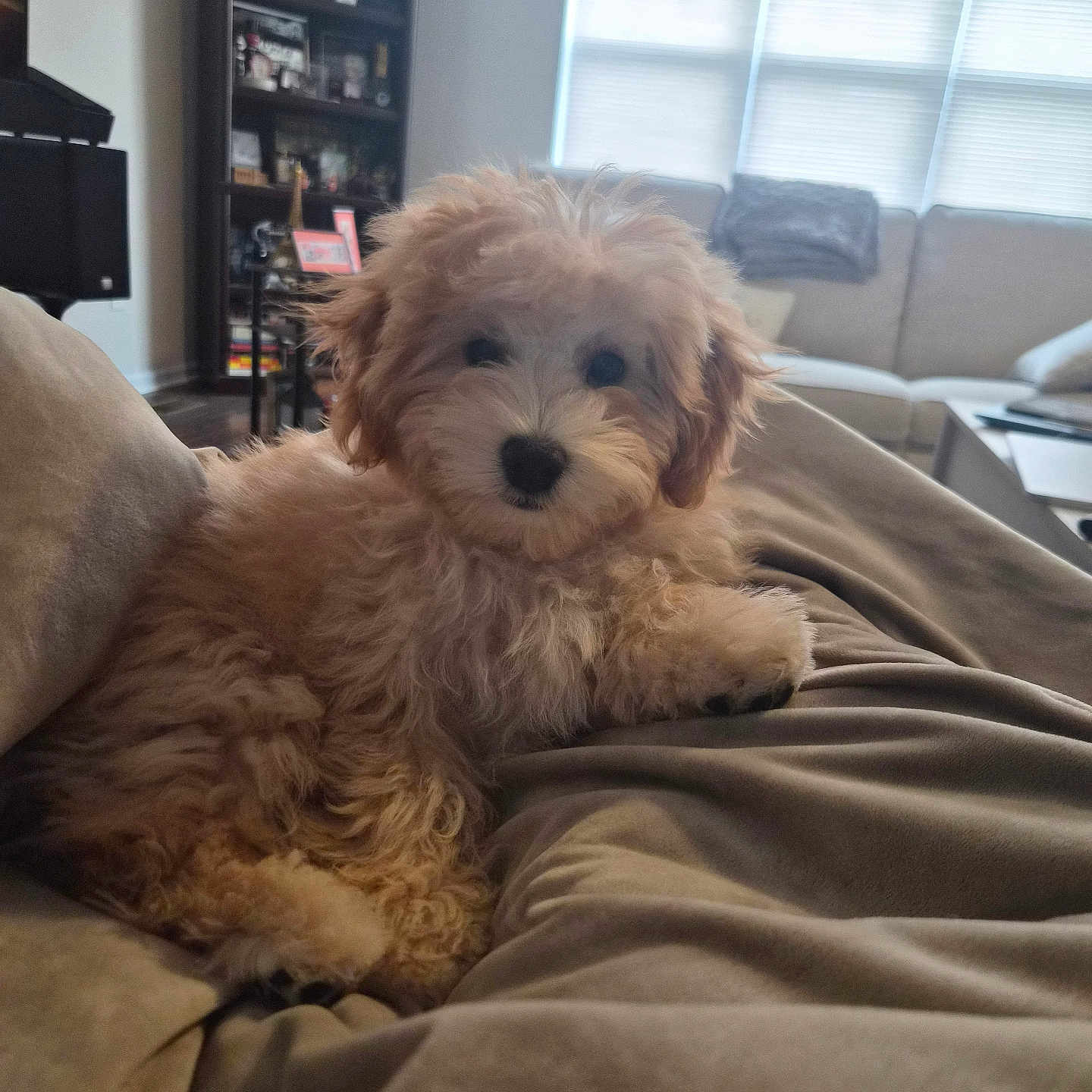 Victory