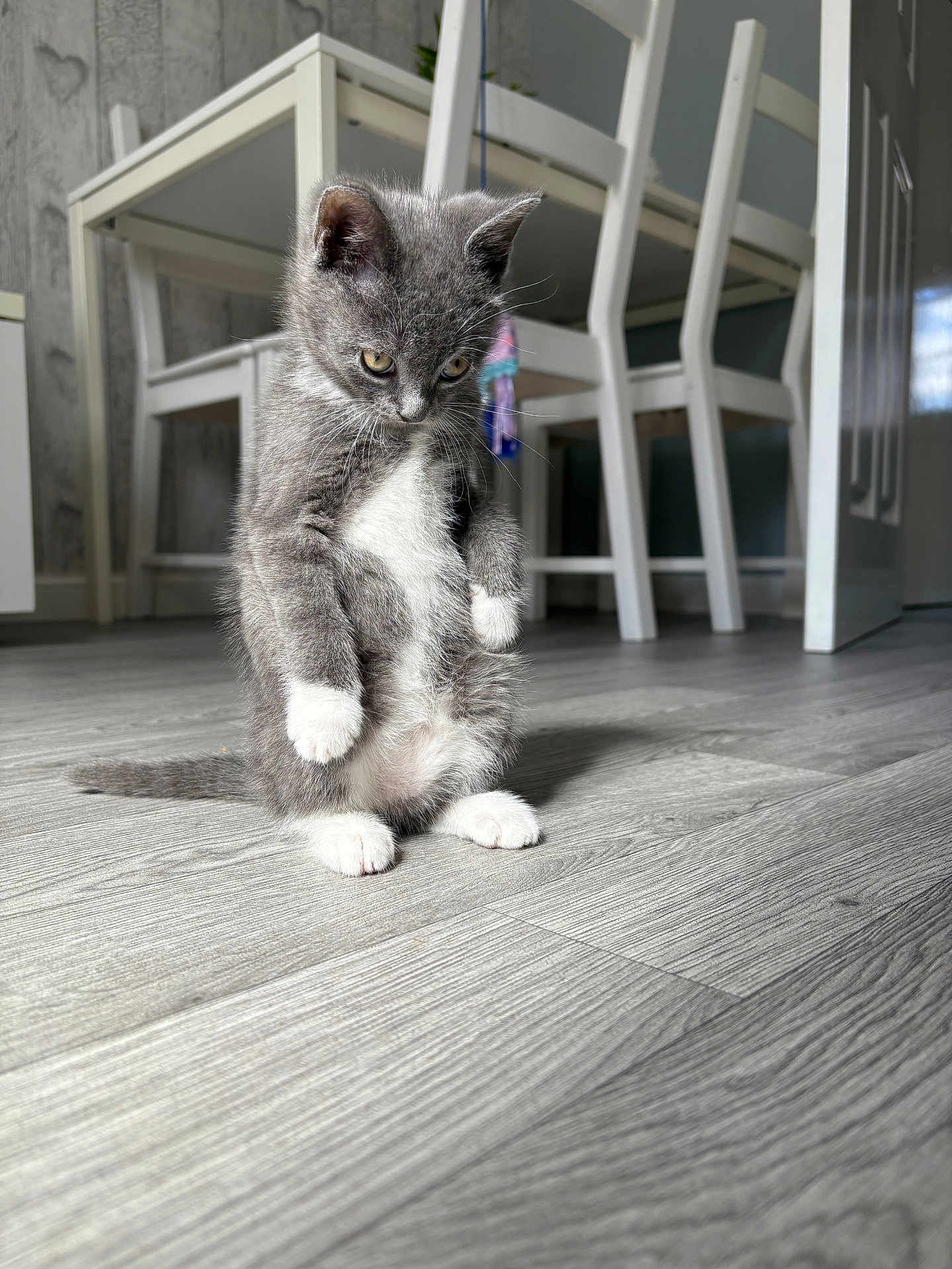 Pebbles