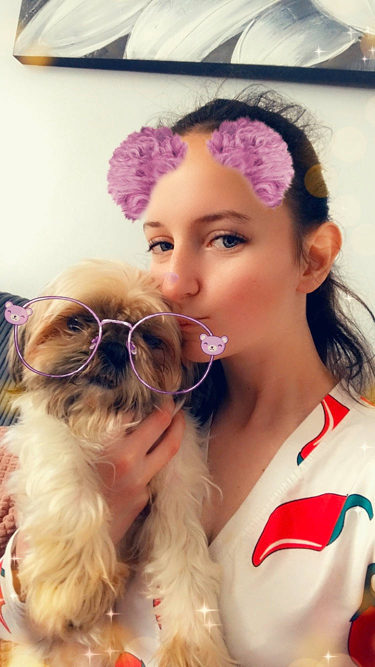 Dixie joined the competition — help win amazing prizes! carnivore, companion_dog, dog, dog_breed, ear, eyebrow, eyewear, fawn, glasses, goggles, hair, hairstyle, happy, headgear, long_hair, skin, sunglasses, toy_dog, vision_care, working_animal