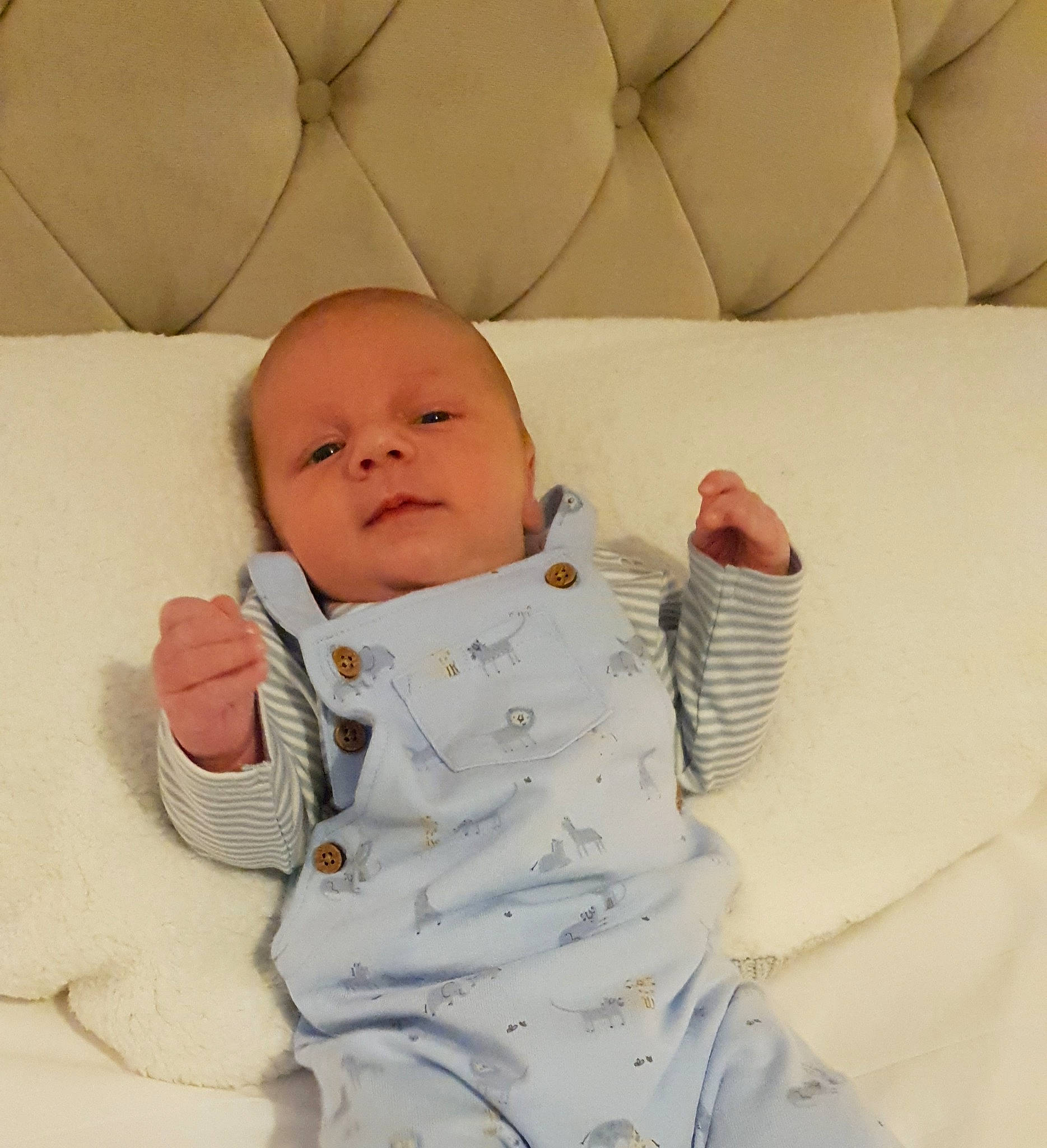 Henry is registered to the contest to win money with this photo: baby, baby_sleeping, bedtime, cheek, child, comfort, person, skin, toddler