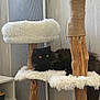 cat, black_cat, fluffy, yellow_eyes, cat_tree, furniture, indoor, pet, animal, wood, rope, white_fabric, relaxing, home, cozy, modern, sitting, fur, resting, comfortable