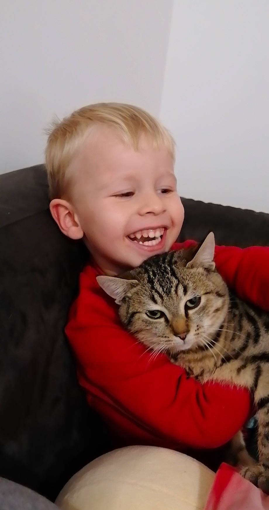 Justin a rejoint le concours — aidez-le/la à gagner de superbes lots ! blond, carnivore, cat, cheek, comfort, ear, facial_expression, felidae, forehead, fur, human, iris, jaw, joy, laugh, mammal, person, skin, small_to_medium_sized_cats, tooth