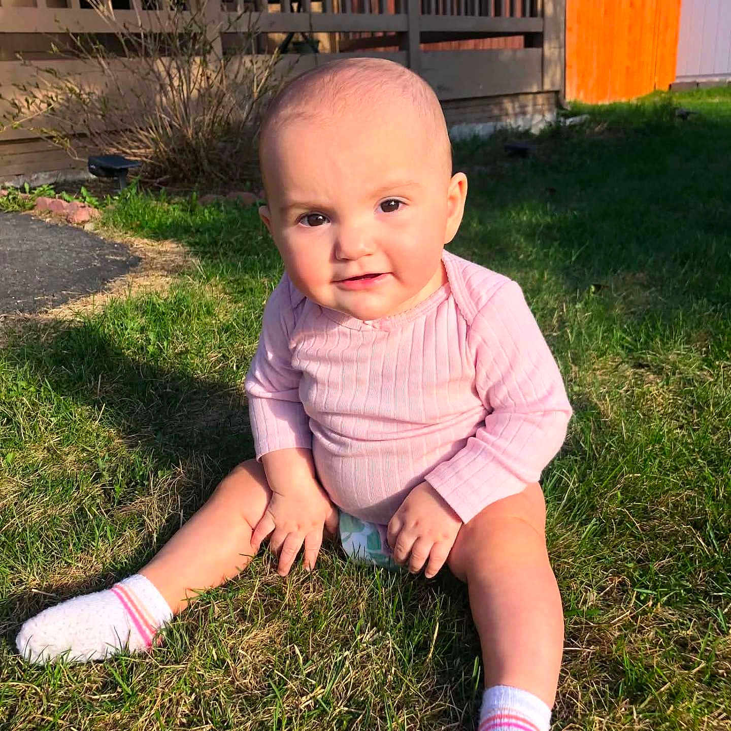 Leilani is registered to the contest to win money with this photo: baby, child, grass, outdoor, sitting, pink_clothing, sock, lawn, sunlight, fence, wooden_fence, yard, curious_expression, infant, face, person, nature, daylight, lifestyle, casual