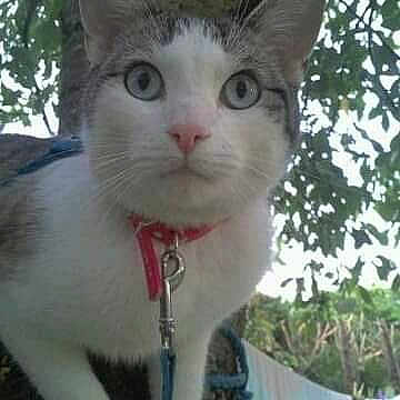 Badoo
