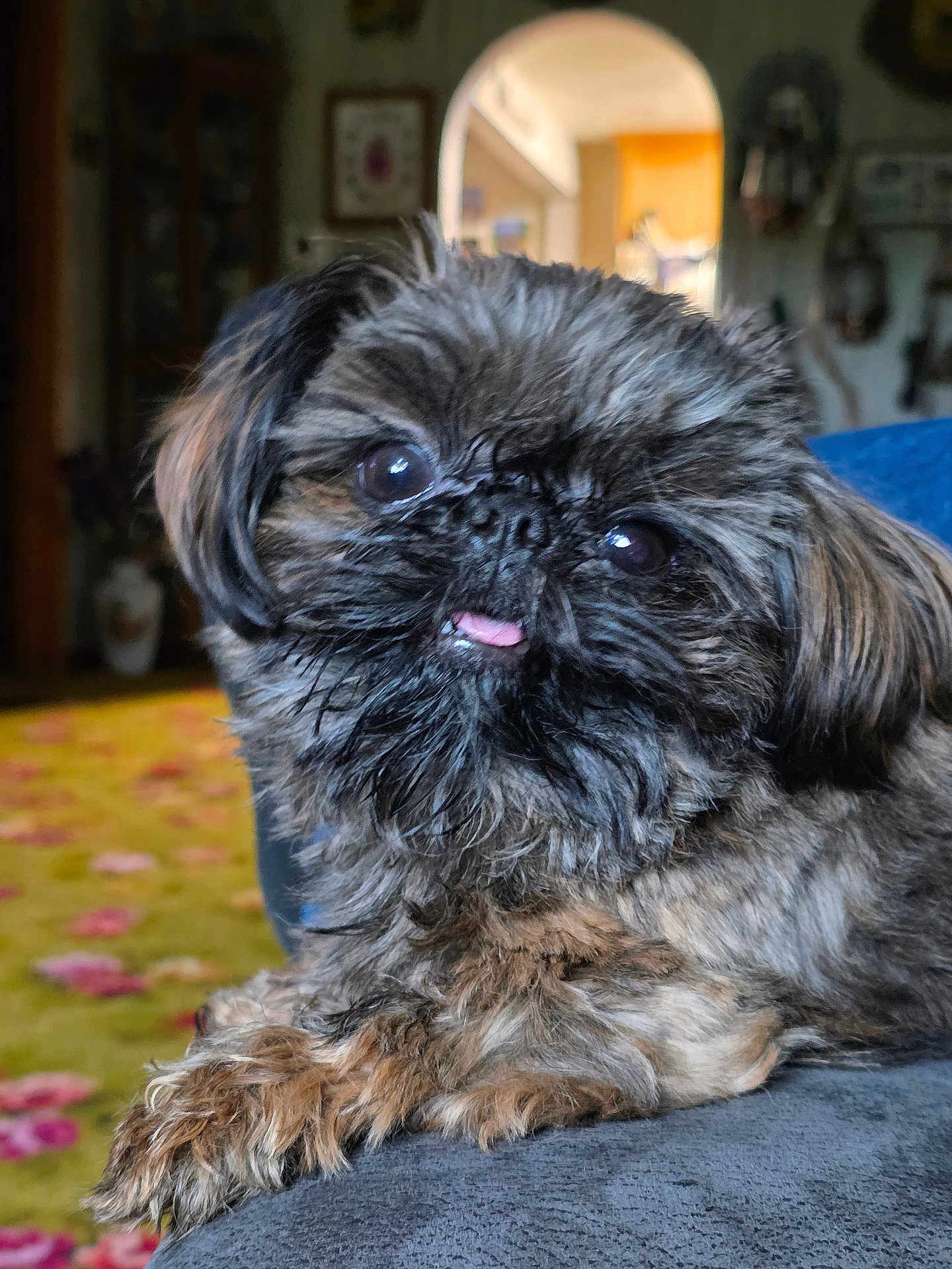 Winnie