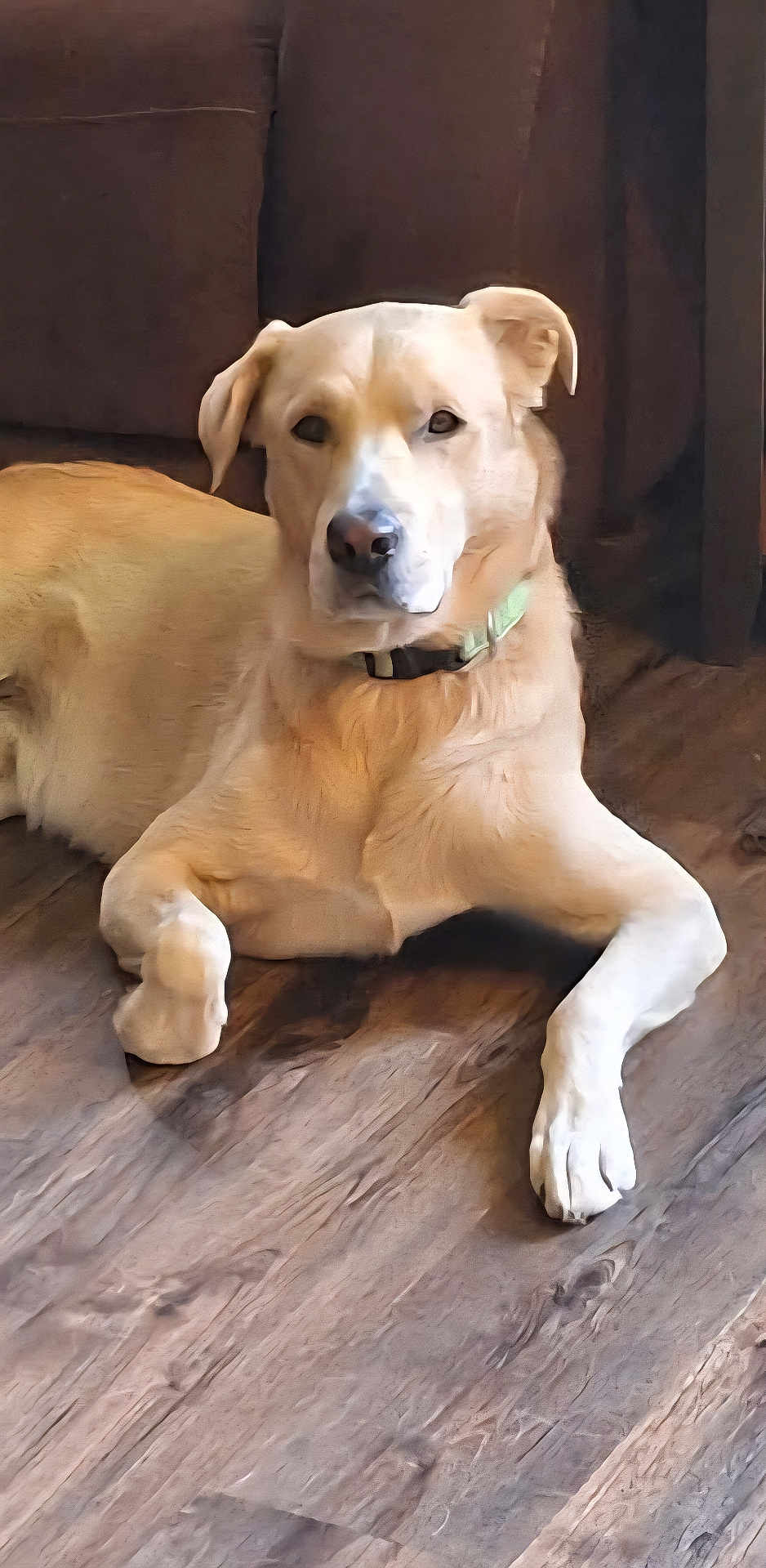Chevy