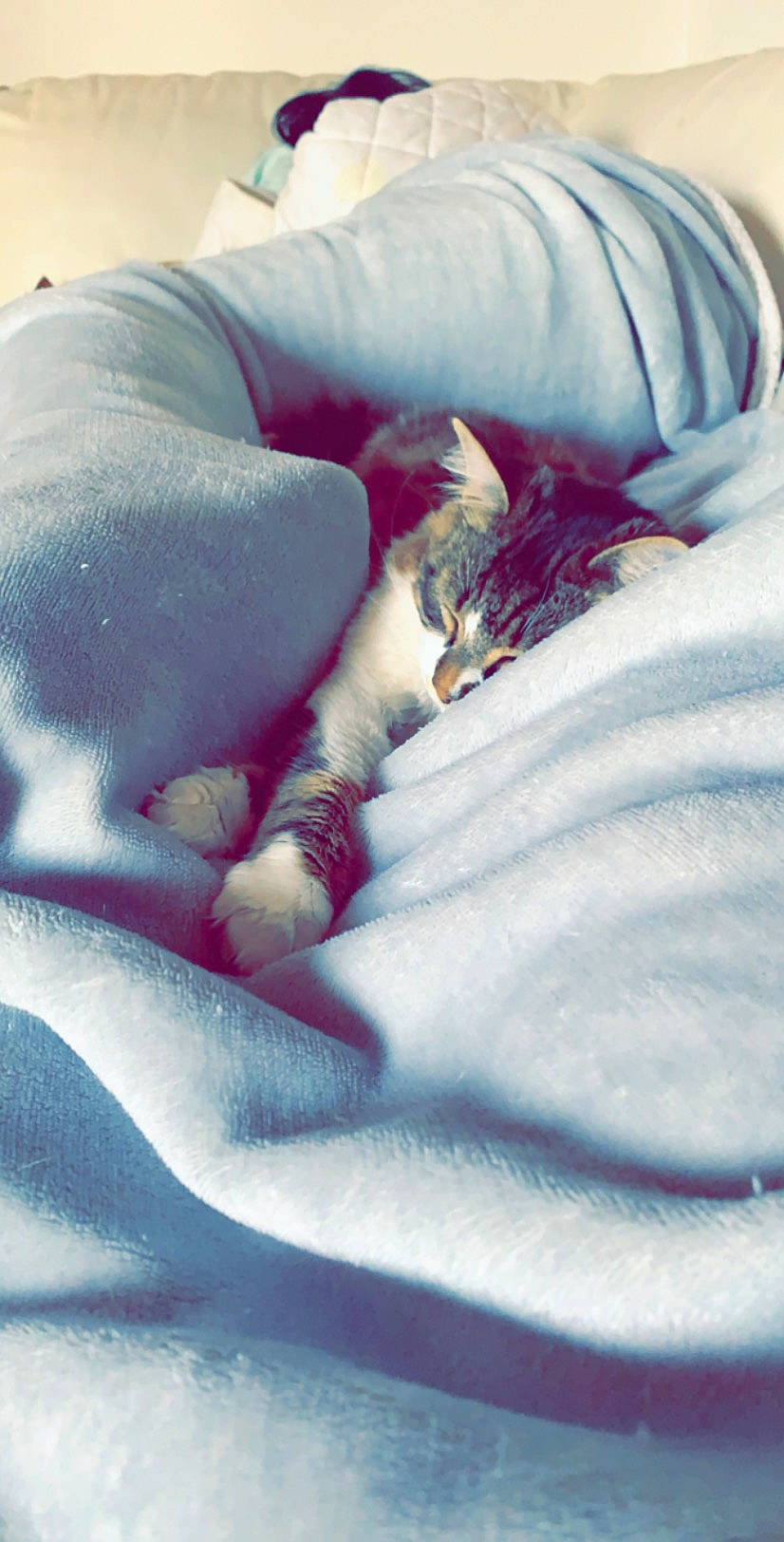 Oasis participe au concours pour gagner de l'argent avec cette photo : arm, bed, bed_sheet, comfort, flesh, hand, joint, leg, linens, lip, nap, photography, sleep, textile