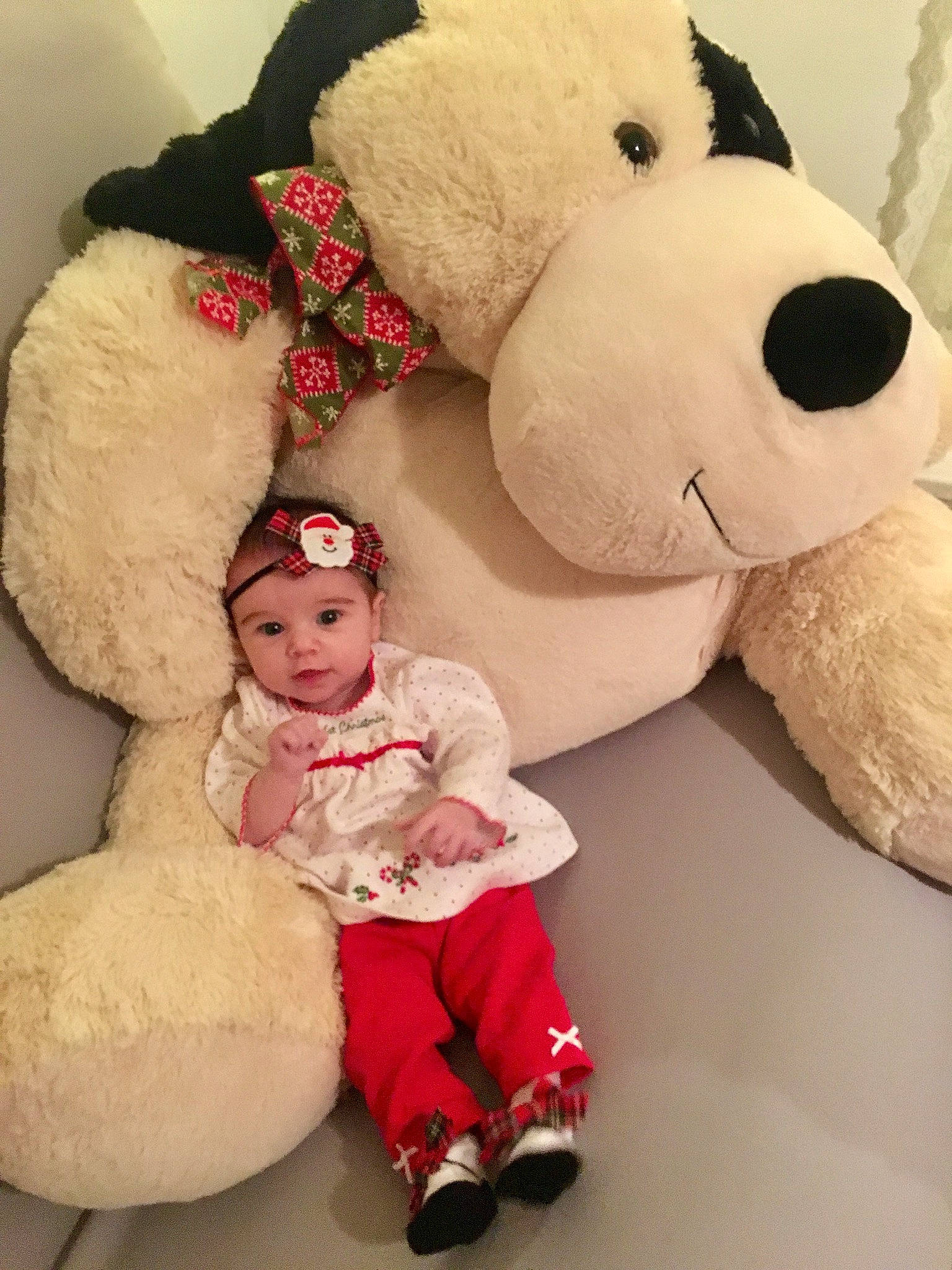 Cecelia is registered to the contest to win money with this photo: child, fur, material, person, plush, stuffed_toy, teddy_bear, textile, toy