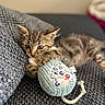 kitten, cat, tabby, feline, pet, animal, indoors, sofa, couch, toy, knitted_toy, colorful, cozy, sleeping, relaxed, cute, whiskers, ears, fur, portrait