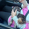Cache is registered to the contest to win money with this photo: black_pants, car_door, car_interior, comfort, cozy, cute, dog, hand, lap, person, pink, puppy, relaxed, rest, seatbelt, sleeping, smartphone, sunglasses, sweater, white