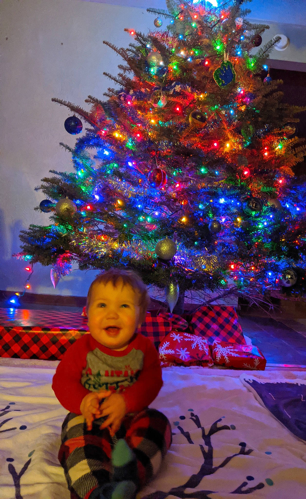 Huxton is registered to the contest to win money with this photo: christmas, christmas_decoration, christmas_eve, christmas_lights, christmas_ornament, christmas_tree, conifer, event, fir, fun, holiday, holiday_ornament, interior_design, person, pine_family, plant, sky, spruce, tree, winter