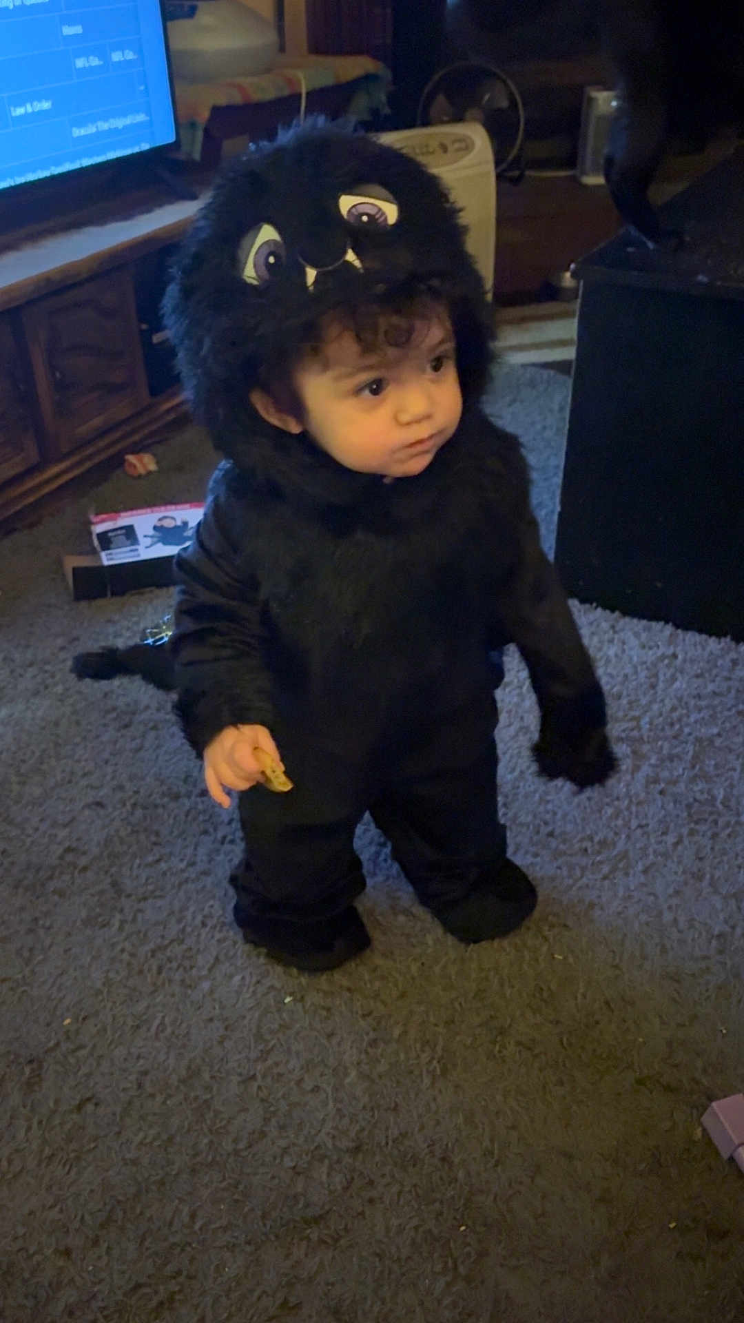 Mariana is registered to the contest to win money with this photo: toddler, child, costume, monster_costume, black_fur, indoor, carpet, snack, curly_hair, cute, hood, living_room, furniture, television, curious, standing, person, floor, toy, home