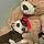 Buddy