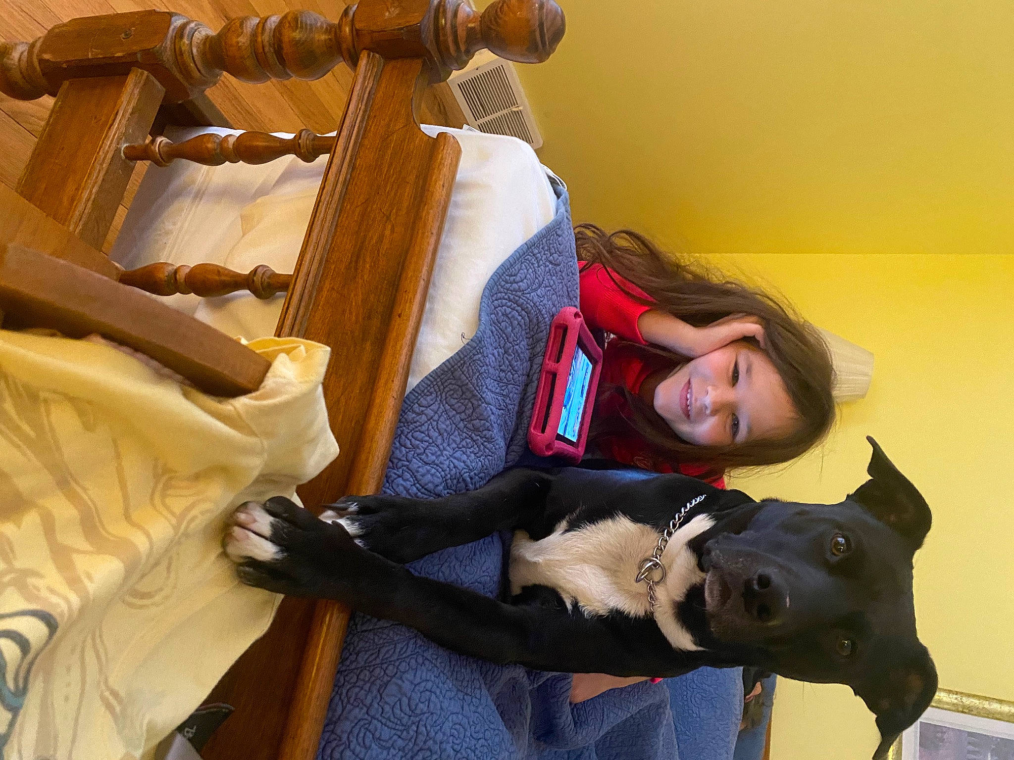 Brynlee joined the competition — help win amazing prizes! bag, comfort, companion_dog, fur, joy, luggage_and_bags, person, room, sitting, smile, wood