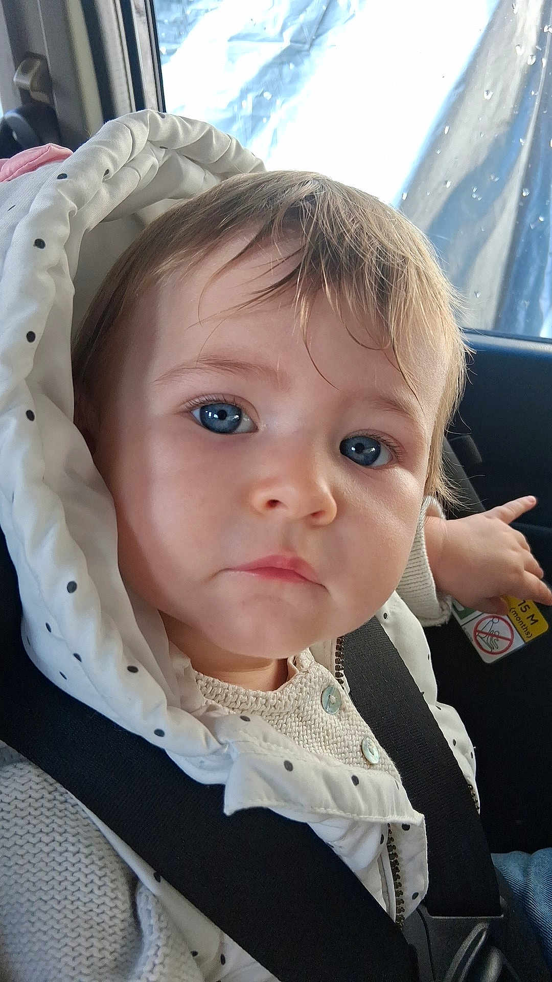 Maéna