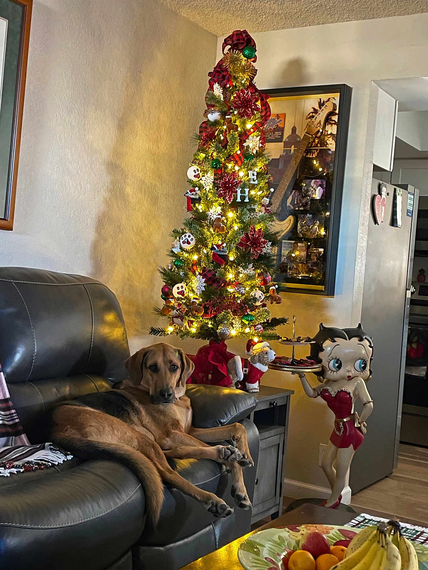 Hank joined the competition — help win amazing prizes! dog, leather_couch, christmas_tree, christmas_lights, holiday_decorations, betty_boop_statue, guitar, framed_picture, living_room, fruit_bowl, bananas, oranges, table, blanket, wooden_floor, kitchen, indoor, relaxed_dog, home_decor, soft_lighting