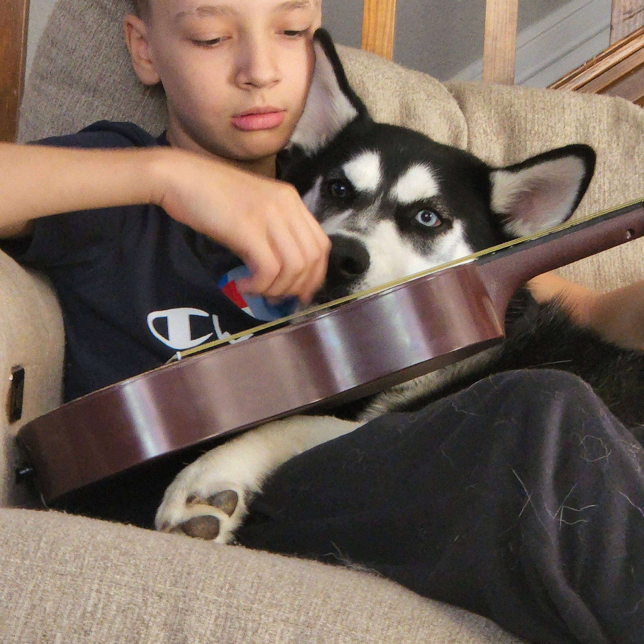 Buscho is registered to the contest to win money with this photo: canidae, canis, carnivore, companion_dog, dog, dog_breed, flash_photography, fur, happy, non_sporting_group, recreation, siberian_husky, sitting, sled_dog, snout, sporting_group, toddler, whiskers, working_animal, working_dog