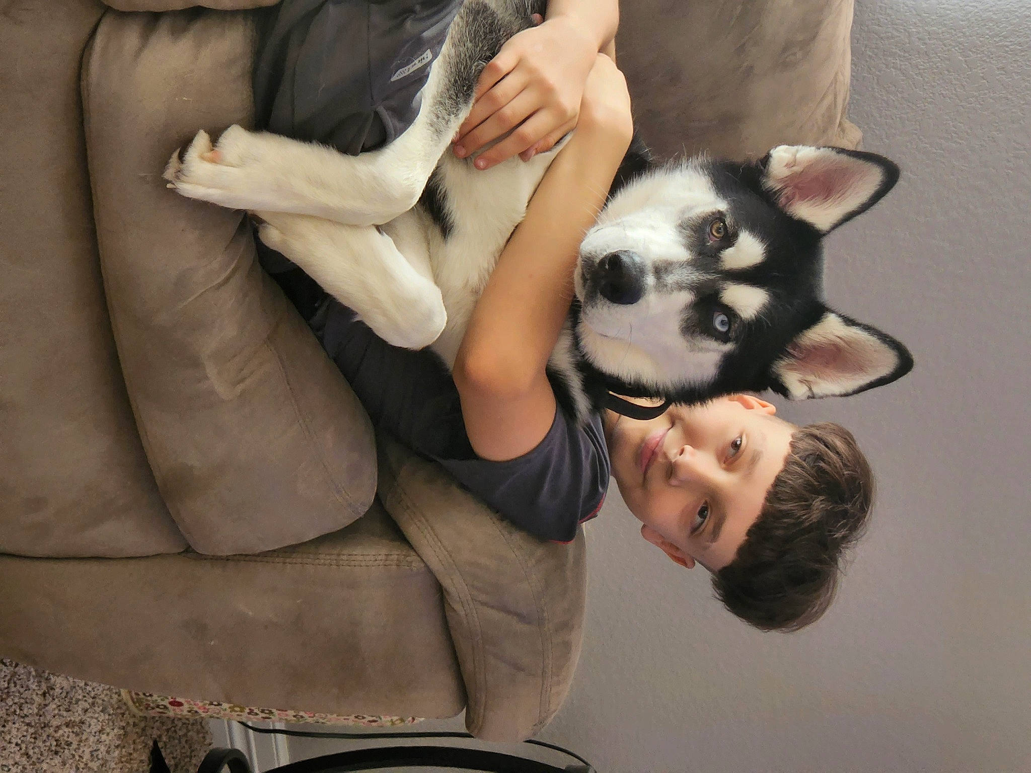 Buscho joined the competition — help win amazing prizes! canidae, carnivore, comfort, companion_dog, dog, dog_breed, eyewear, formal_wear, fur, gesture, hand, happy, human_leg, non_sporting_group, sitting, snout, sporting_group, suit, thigh, toy_dog