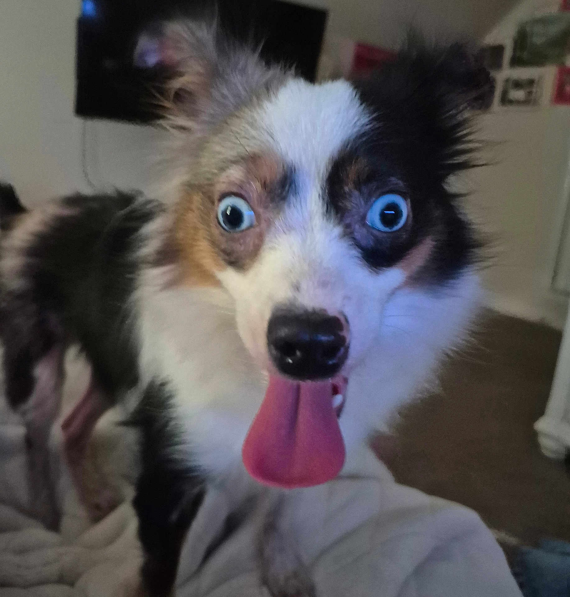Taffy