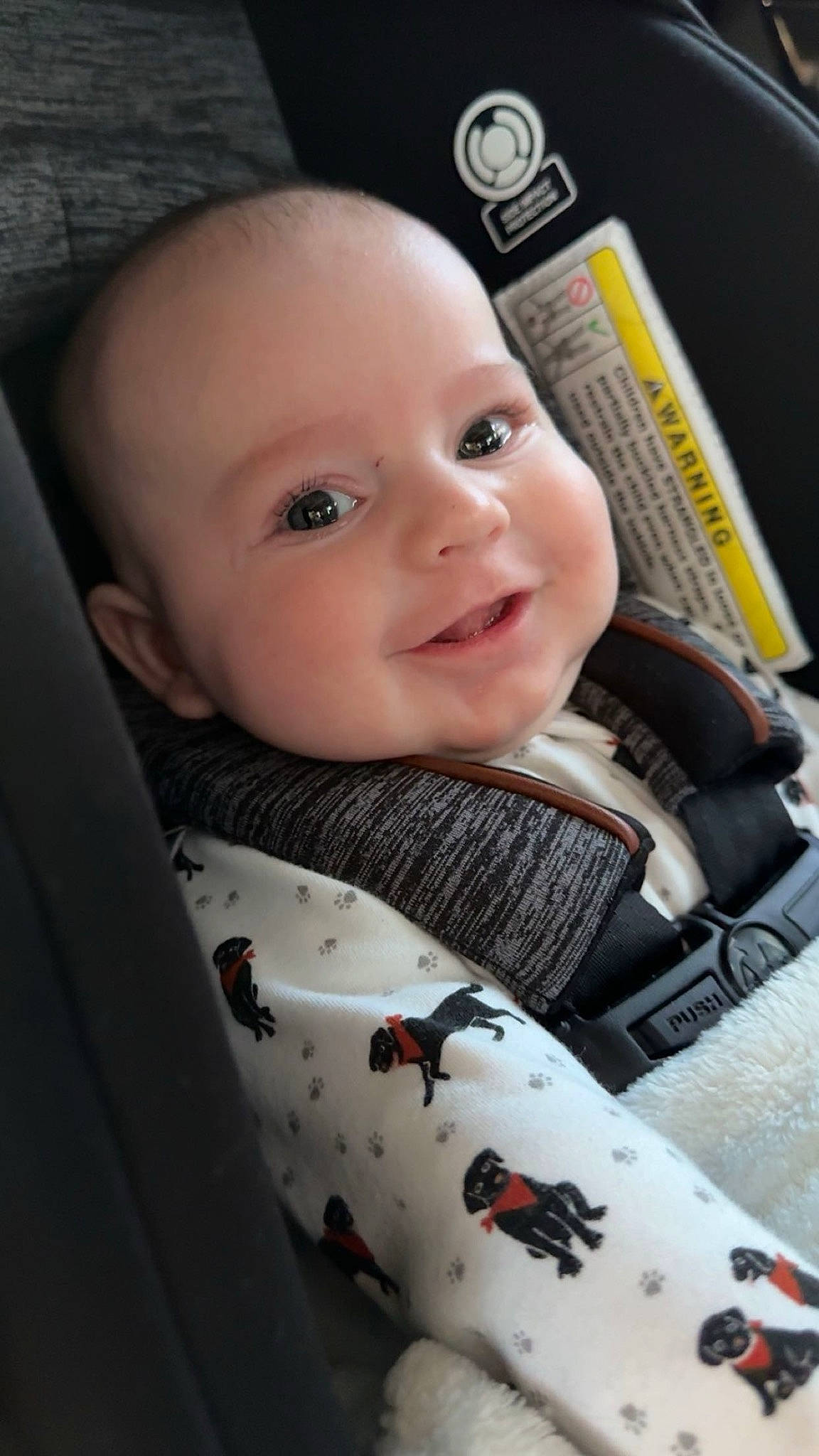 Xavier joined the competition — help win amazing prizes! baby, baby_carriage, baby_in_car_seat, baby_products, baby_safety, baby_toddler_clothing, car_seat, cheek, child, comfort, flash_photography, happy, head, iris, joy, nose, person, sitting, skin, sleeve