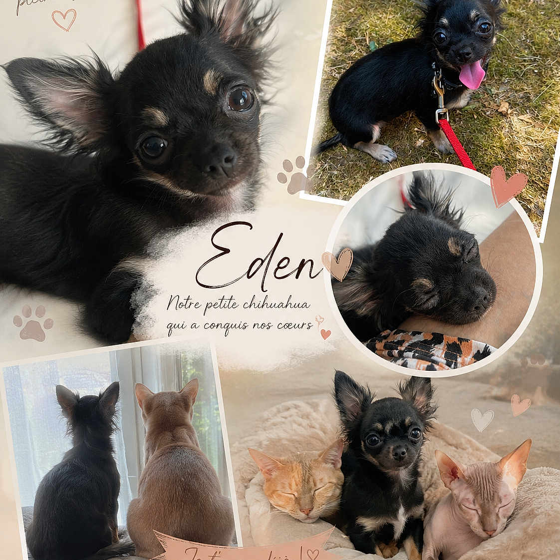 Eden