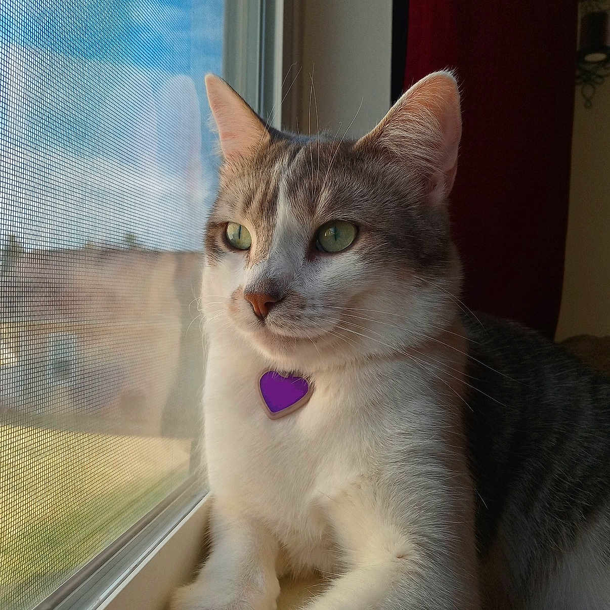 Milo